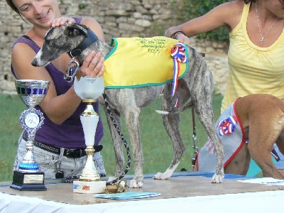 Olympic Star - Chaos  Championne de France de PVL !!!